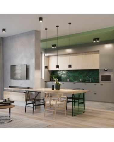 Deckenleuchte ORBIS 2 schwarz