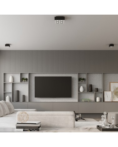 Deckenleuchte MONO 1 schwarz