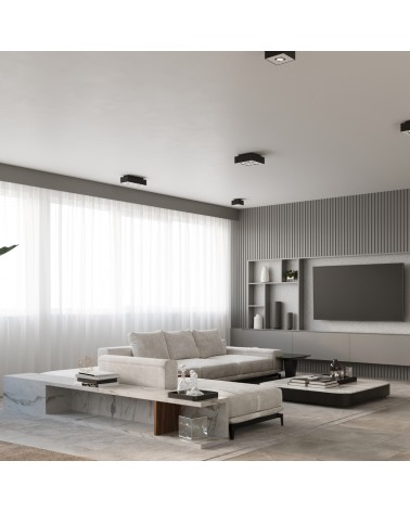 Deckenleuchte MONO 2 schwarz