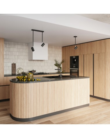 Deckenleuchte NORANO 2 schwarz