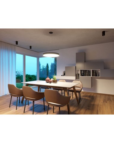 RINGO 60 P-Z, B DALI/PUSH DIM 54W 3000K